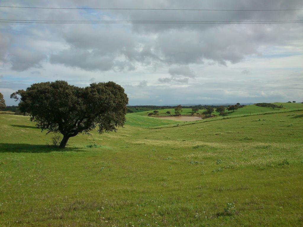 Cantar Do Grilo - Turismo Rural Serpa Exterior photo