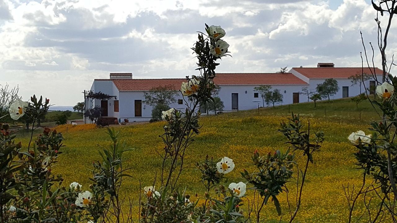 Cantar Do Grilo - Turismo Rural Serpa Exterior photo